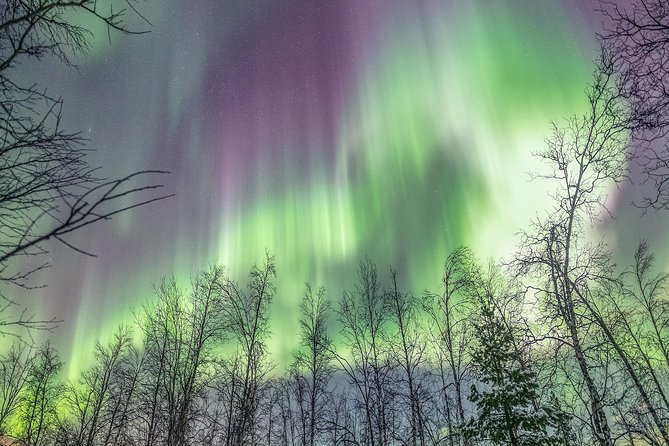Northern Lights Private tour with your special ones - Greenlander - The $2,558.88 price and who gets value