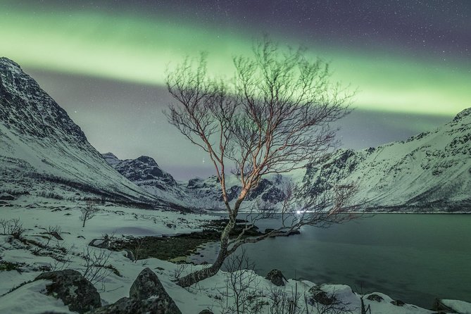 Northern Lights Private tour with your special ones - Greenlander - What happens at the main viewing stops
