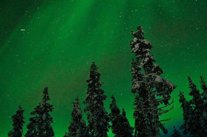 Northern Lights Reindeer Sledge Ride - The 20-minute reindeer sleigh ride