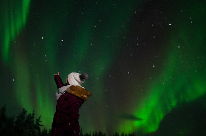 Northern Lights Reindeer Sledge Ride - Why the herding talk adds real value