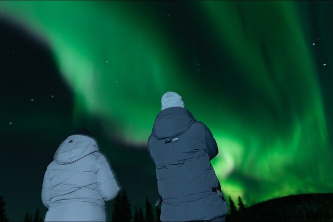 Northern Lights Rovaniemi: Guaranteed Tour with Local Guide - Key Points at a Glance