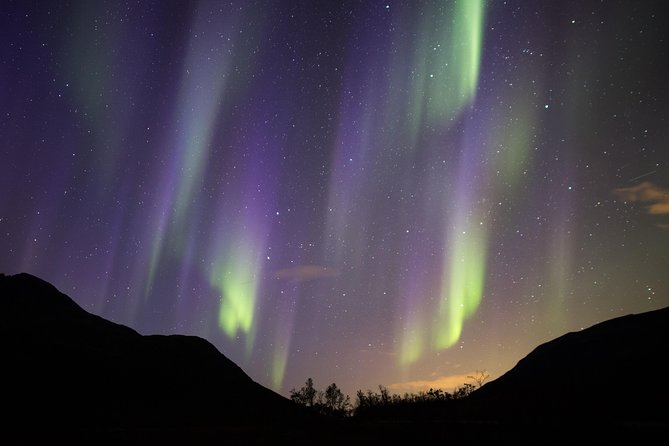 Northern Lights Safari from Tromso - Price, time, and what you receive