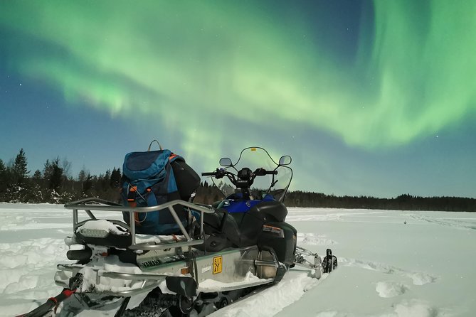 Northern Lights Sledge Ride - Starting at Santa Claus Village or in central Rovaniemi