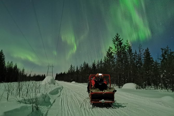 Northern Lights Sledge Ride - The guides make a big difference