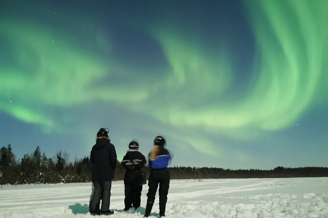 Northern Lights Sledge Ride - Is $92.52 a fair price?