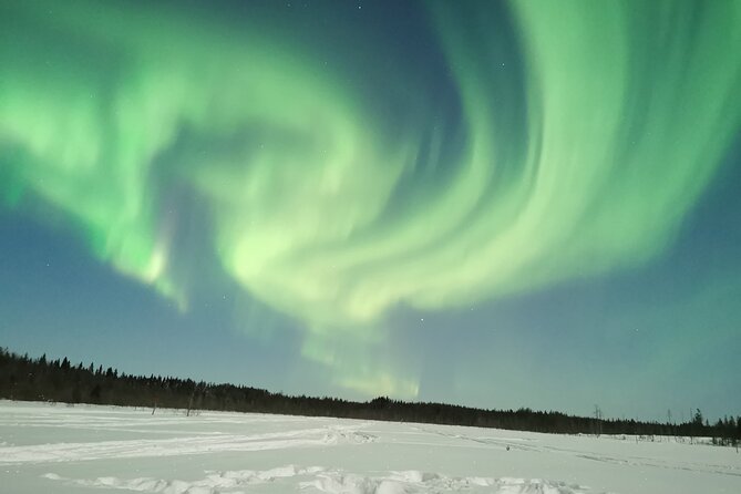 Northern Lights Sledge Ride - Who will enjoy this ride most?