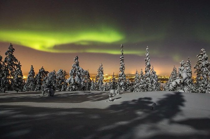 Northern Lights Sledge Ride in Levi - A guide-led trip with up to 24 people