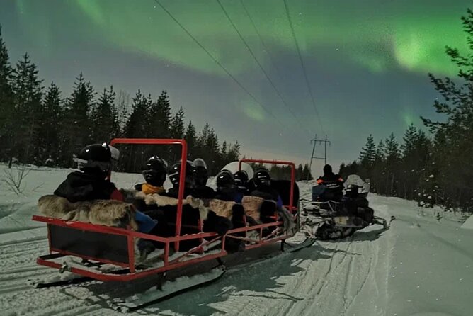Northern Lights Sledge Ride in Levi - How the price measures up at $119.77