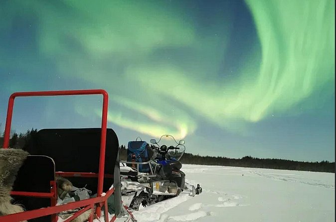 Northern Lights Sledge Ride in Levi - Who will get the most from this ride