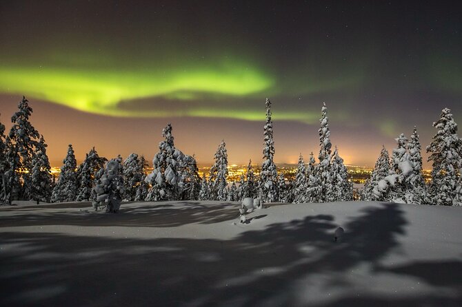 Northern Lights Sledge Ride in Levi - Practical details that can make the evening better