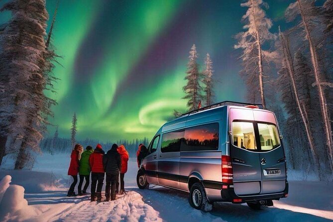 Northern Lights Small Group Tour from Reykjavik - What the aurora viewing stops are like