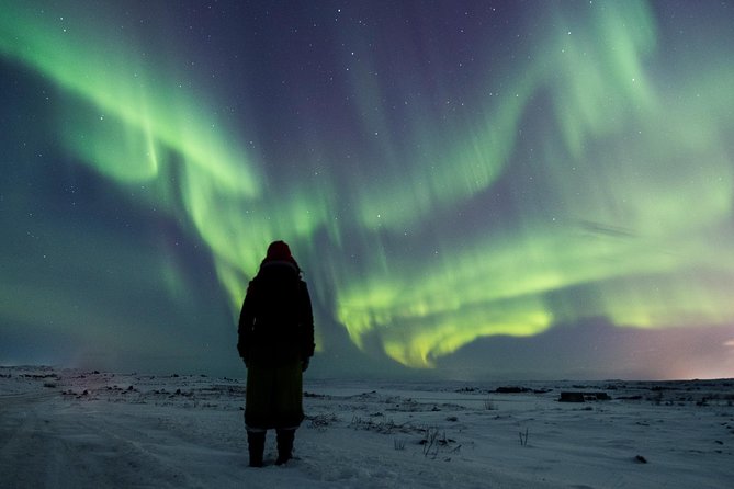 Northern Lights Small Group Tour from Reykjavik with Free Photos - Why this Reykjavik aurora tour is worth considering