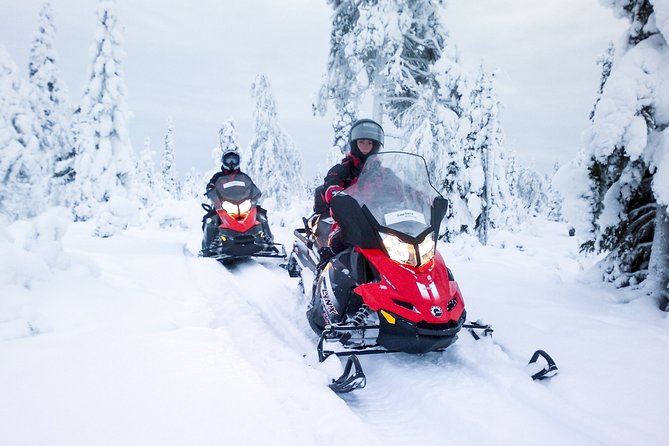 Northern Lights Snowmobile Driving Safari - Is $210.13 good value?