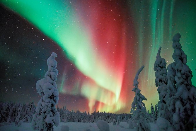 Northern Lights Snowmobile Driving Safari in Kemi - Leaving Kemi for the winter wilderness