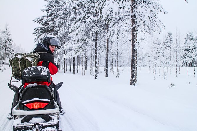 Northern Lights Snowmobile Driving Safari in Kemi - What the $264.83 price really covers