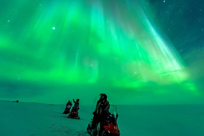 Northern Lights Snowmobile Safari from Rovaniemi with Campfire Picnic - The campfire picnic in the woods