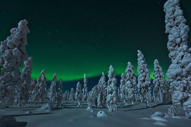 Northern Lights Snowmobile Safari from Rovaniemi with Campfire Picnic - Sharing a snowmobile or driving your own