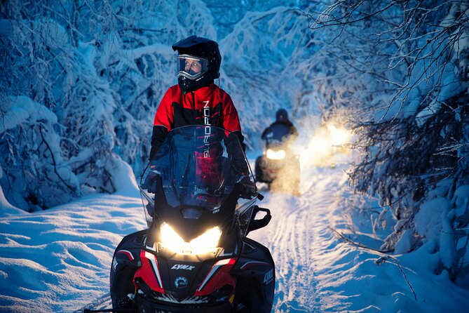 Northern Lights Snowmobile Tour - What the $214.16 price means