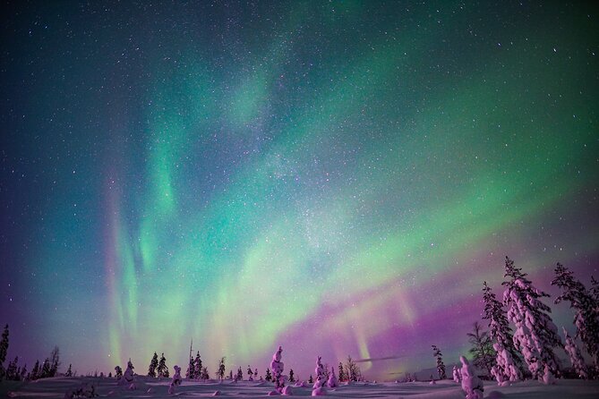 Northern Lights Snowmobile Tour - Who will enjoy this four-hour outing most?