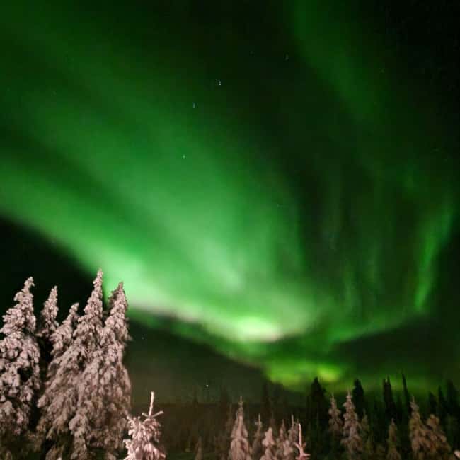 Northern Lights Snowshoe Hike in Levi with Latvian Guide - Quick Points Before You Book