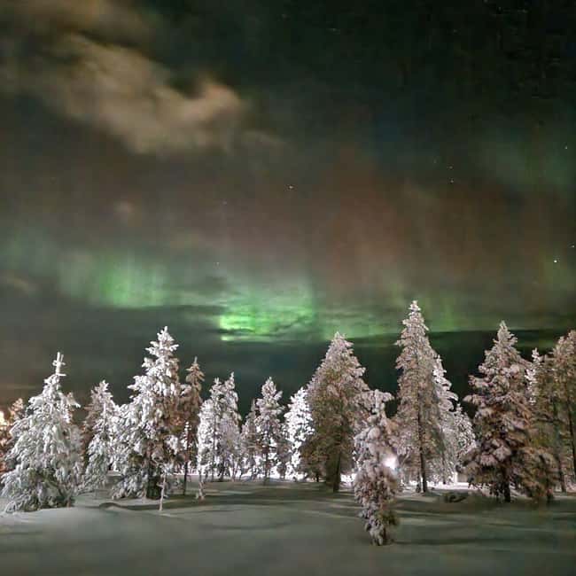 Northern Lights Snowshoe Hike in Levi with Latvian Guide - Booking Advice for a Cold Night in Levi