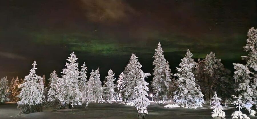 Northern Lights Snowshoe Hike in Levi with Latvian Guide - Should You Book This Snowshoe Walk?