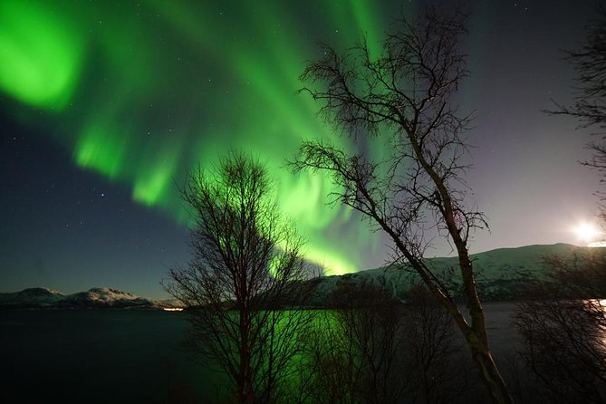 Northern lights - TeslaX Ecofriendly Car - The second stop: when persistence pays off