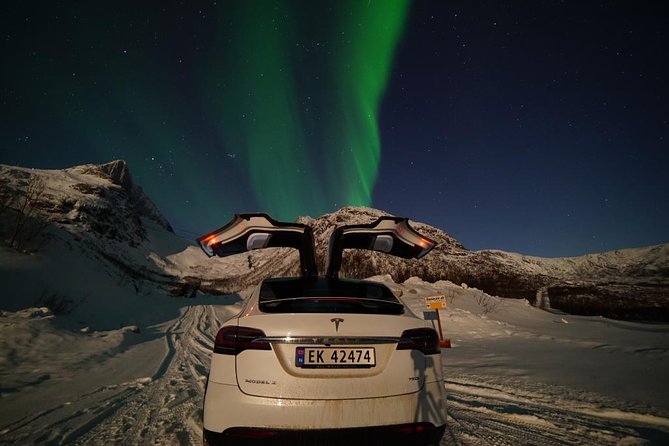Northern lights - TeslaX Ecofriendly Car - The cancellation record deserves serious attention