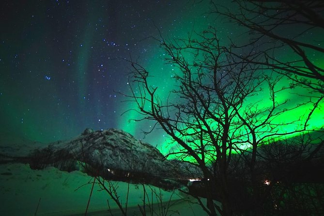 Northern lights - TeslaX Ecofriendly Car - Who will enjoy this Tromsø aurora outing?