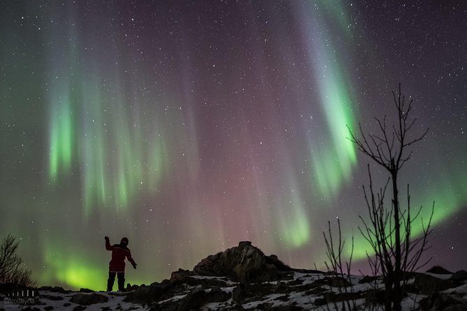 Northern Lights tour - All inclusive - Northern Horizon - Why the northern lights chase begins with the forecast