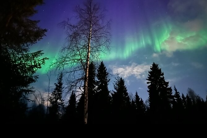 Northern Lights Tour At The Campfire - The Ride to a Private Aurora Spot