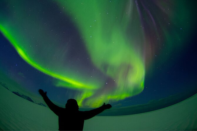 Northern Lights Tour: Cozy Night Adventure with Hot Chocolate - Weather, cancellations, and the best night to book