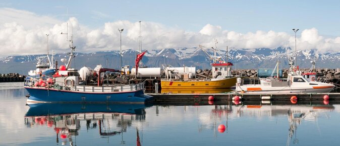 Northern Lights Tour from Husavik - Key points to know before booking