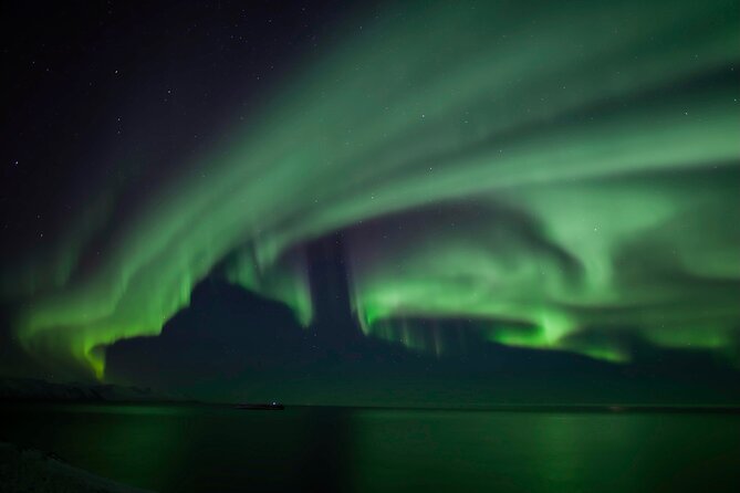 Northern Lights Tour from Husavik - What the guide’s role really means