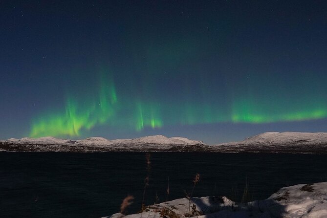 Northern Lights Tour from Kiruna to Abisko with Dinner - Five hours of aurora hunting in Abisko National Park