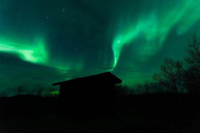 Northern Lights Tour from Kiruna to Abisko with Dinner - Campfire, hot drinks, and the limits of Arctic comfort