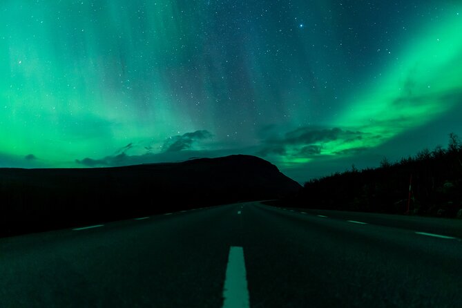 Northern Lights Tour from Kiruna to Abisko with Dinner - Professional photographs are a real part of the value