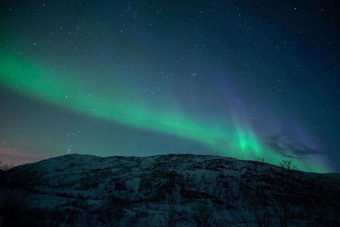 Northern Lights Tour from Kiruna to Abisko with Dinner - Group size, pace, and physical demands