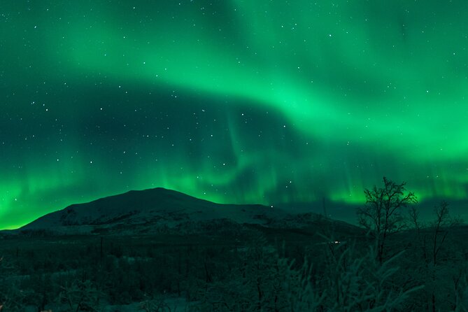 Northern Lights Tour from Kiruna to Abisko with Dinner - Is $278.79 a fair price?