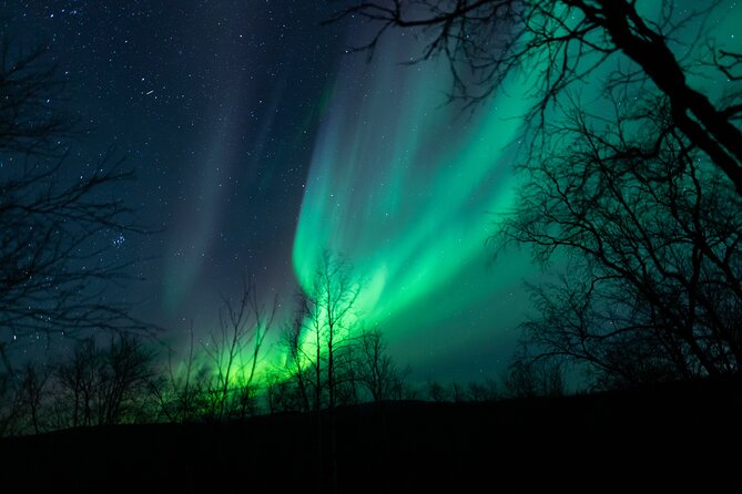 Northern Lights Tour from Kiruna to Abisko with Dinner - Dinner at Abisko Mountain Lodge