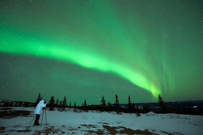 Northern Lights Tour from Reykjavik with Lifetime Guarantee - Key points before you book