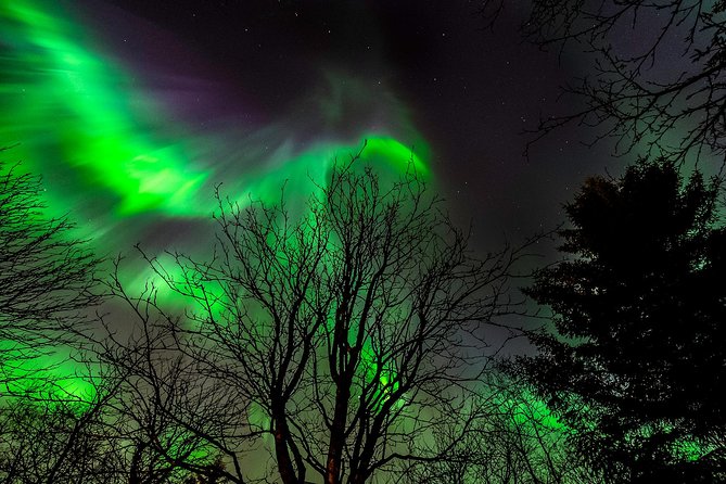 Northern Lights Tour from Reykjavik with Lifetime Guarantee - Chasing the aurora beyond Reykjavik