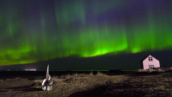Northern Lights Tour from Reykjavik with Lifetime Guarantee - Why the guide matters more than the bus