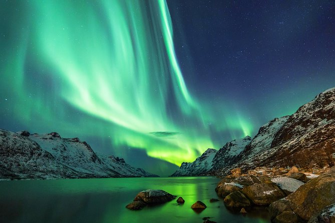 Northern Lights Tour from Reykjavik with Lifetime Guarantee - What happens during the three-hour outing