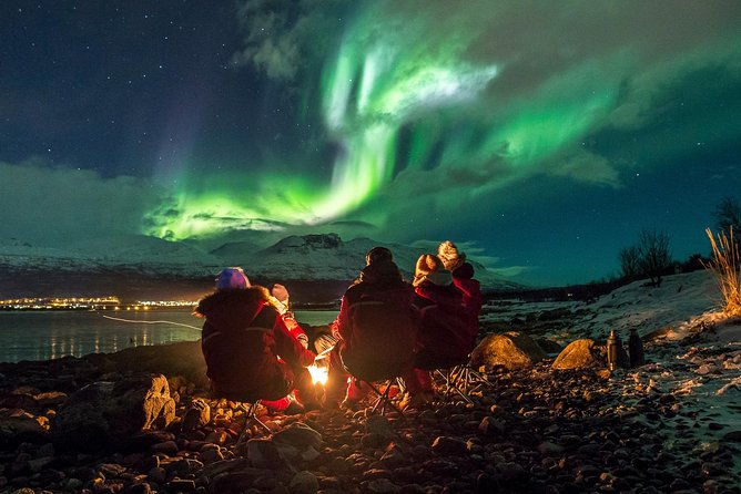 Northern Lights Tour from Tromsø - The aurora chase and why the guide matters