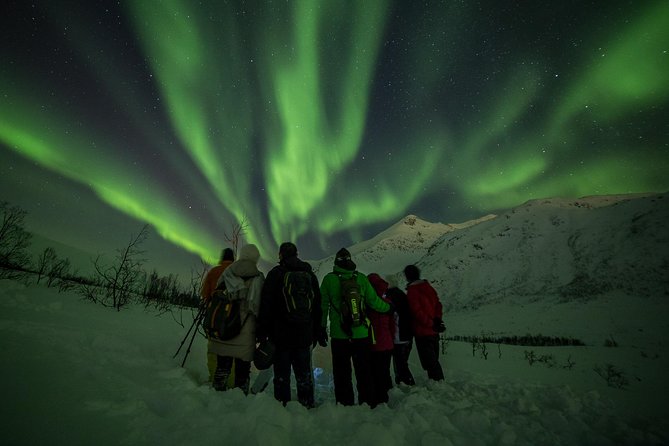 Northern Lights Tour from Tromsø - Photography and the included digital pictures