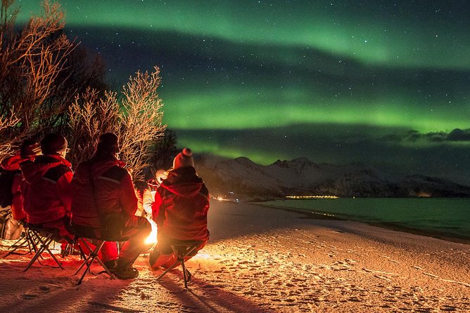 Northern Lights Tour from Tromsø - Who should book this experience