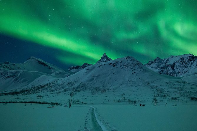 Northern Lights Tour from Tromsø - From Magic Ice Bar to the open sky