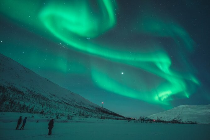 Northern Lights Tour in Tromso - Waiting for the Aurora in temperatures from 5 to -30°C