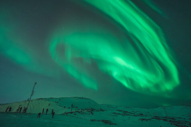 Northern Lights Tour in Tromso - Timing your Tromsø plans around the 5:30 pm departure